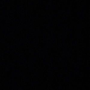 Meet your Posher, Owen